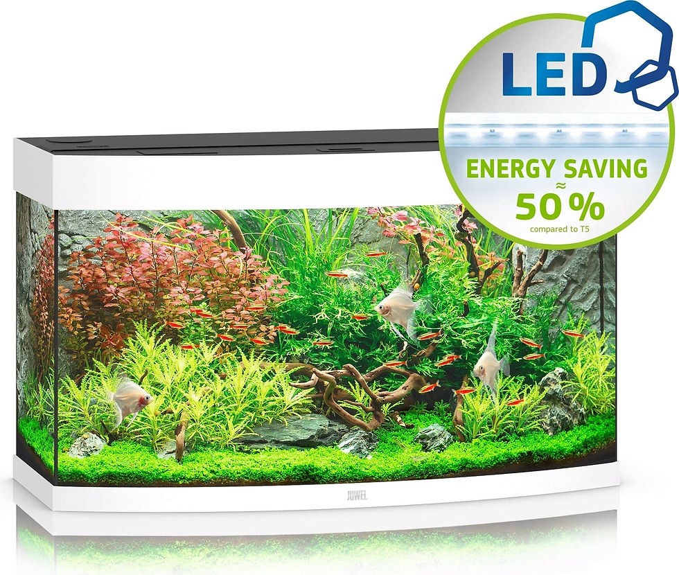 Miniaturbild: Juwel Vision 180 LED Weiss