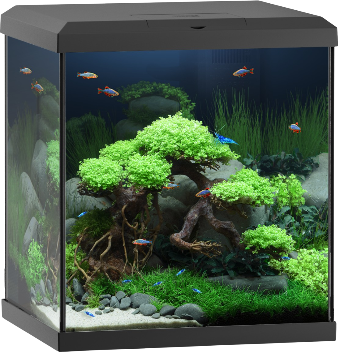 Juwel Vio Cube 54 schwarz