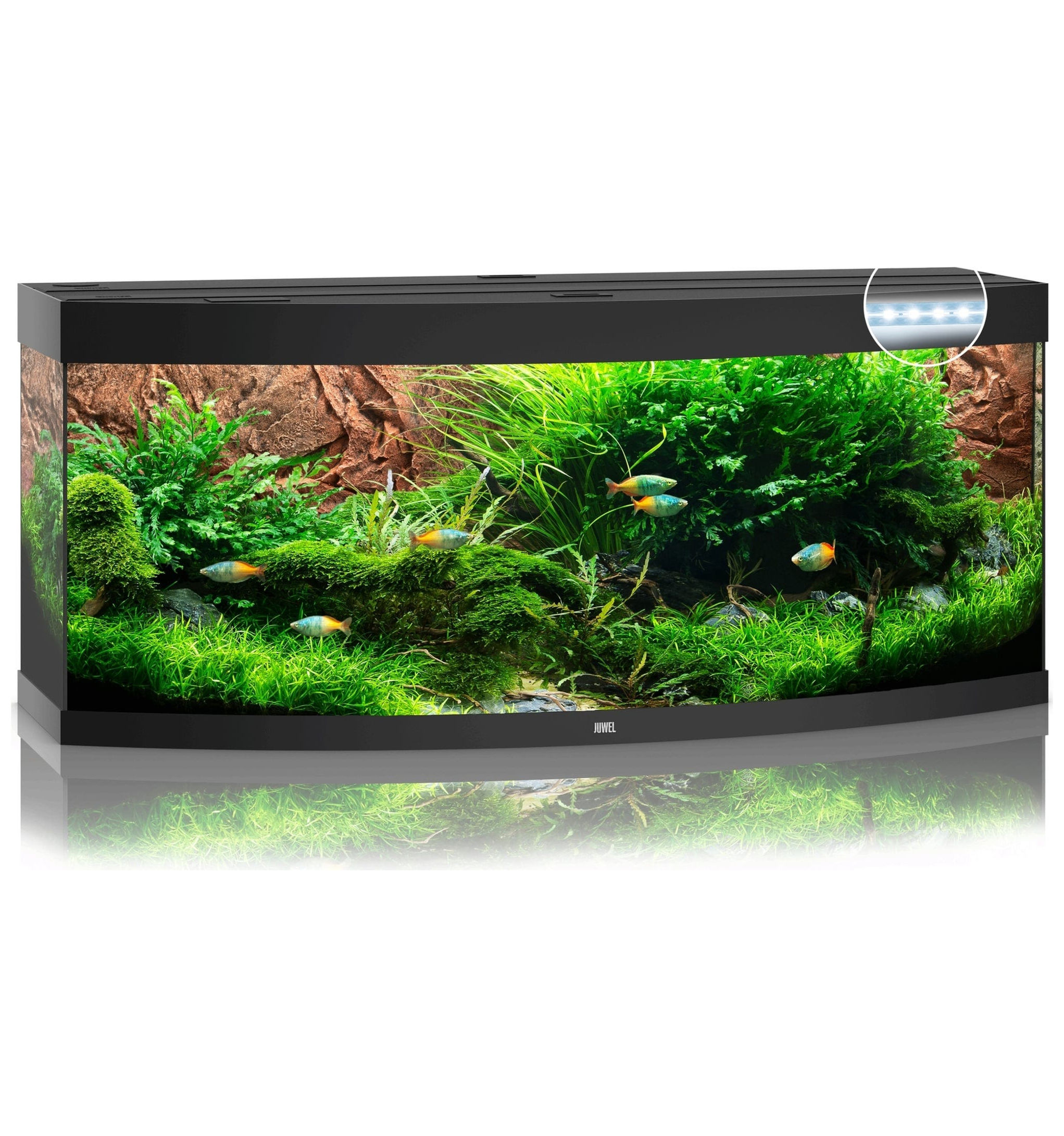 Juwel Vision 450 LED Schwarz
