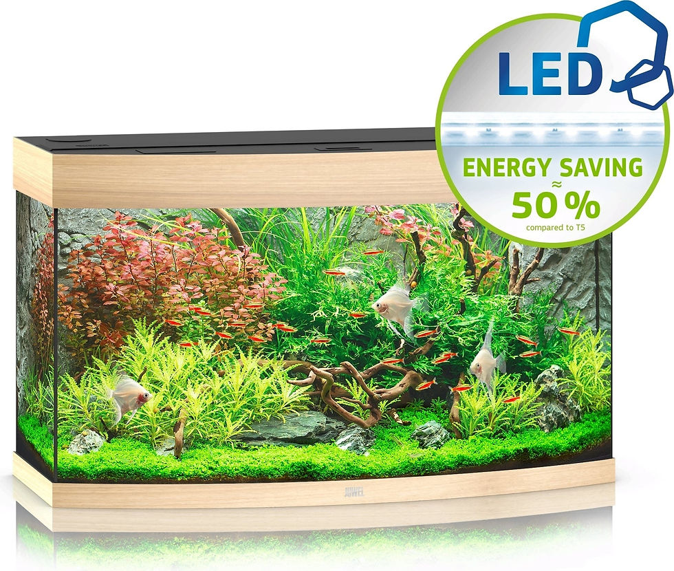 Miniaturbild: Juwel Vision 180 LED Helles Holz