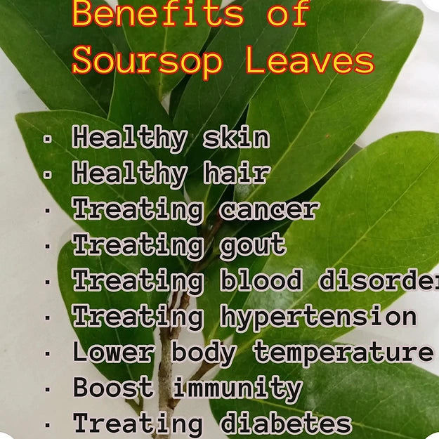 Thumbnail: Soursop Exstract Seamoss Gel 16oz