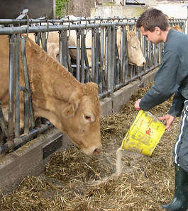Photo bernussou-lycée-rignac 1.jpg