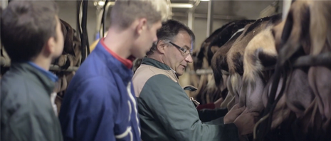 Filière agricole TP sur ferme pédagogique