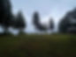 A perfectly cleaned yard