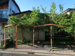 パーゴラ/pergola