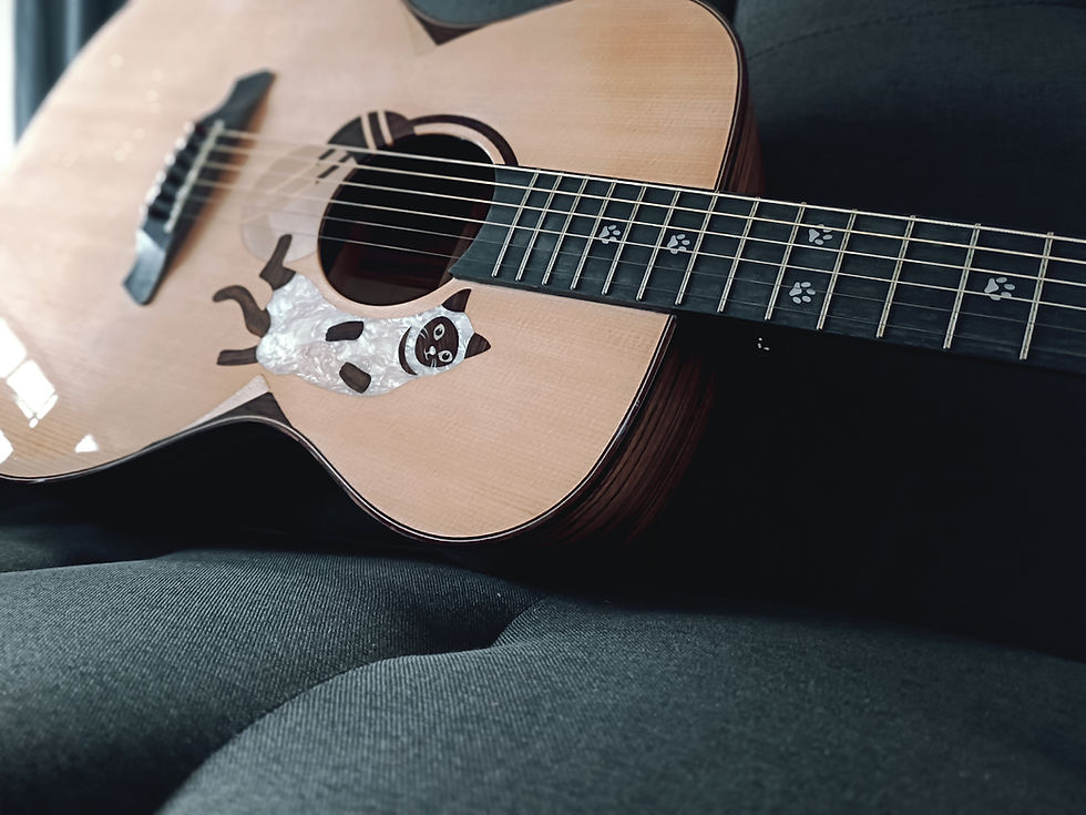 Thumbnail: Gida-TSSZ-Siamese(暹羅貓)