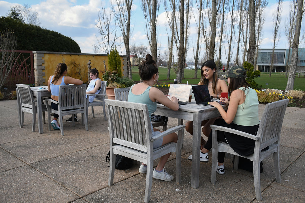 Outdoor Study
