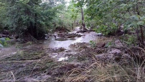 flood plain1