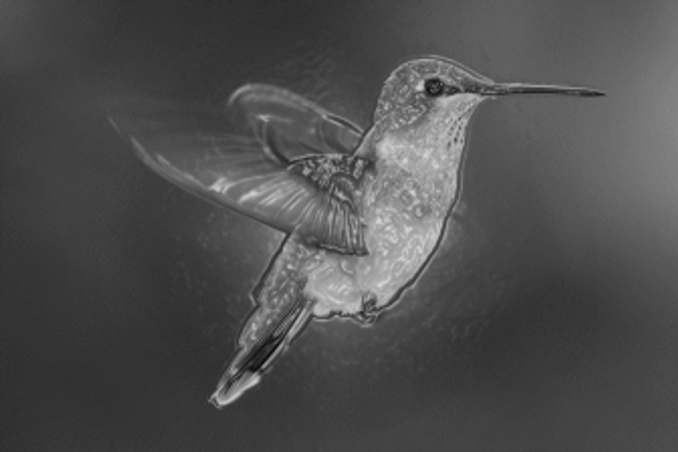 hummer-1