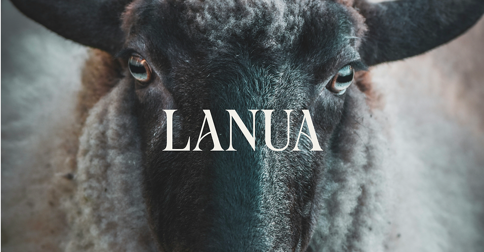 Captura de pantalla 2025-10-15 a las 14.58.03.png