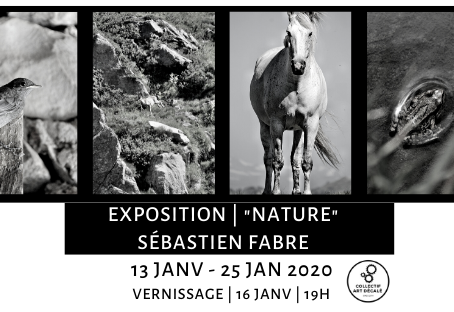Newsletter janvier 2020 | C.A.D
