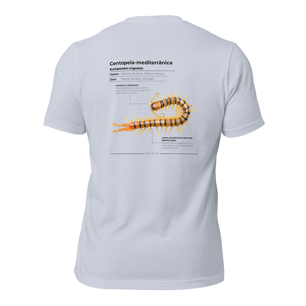 Miniatura: T-shirt Unissexo Adulto Centopeia-mediterrânica (português)