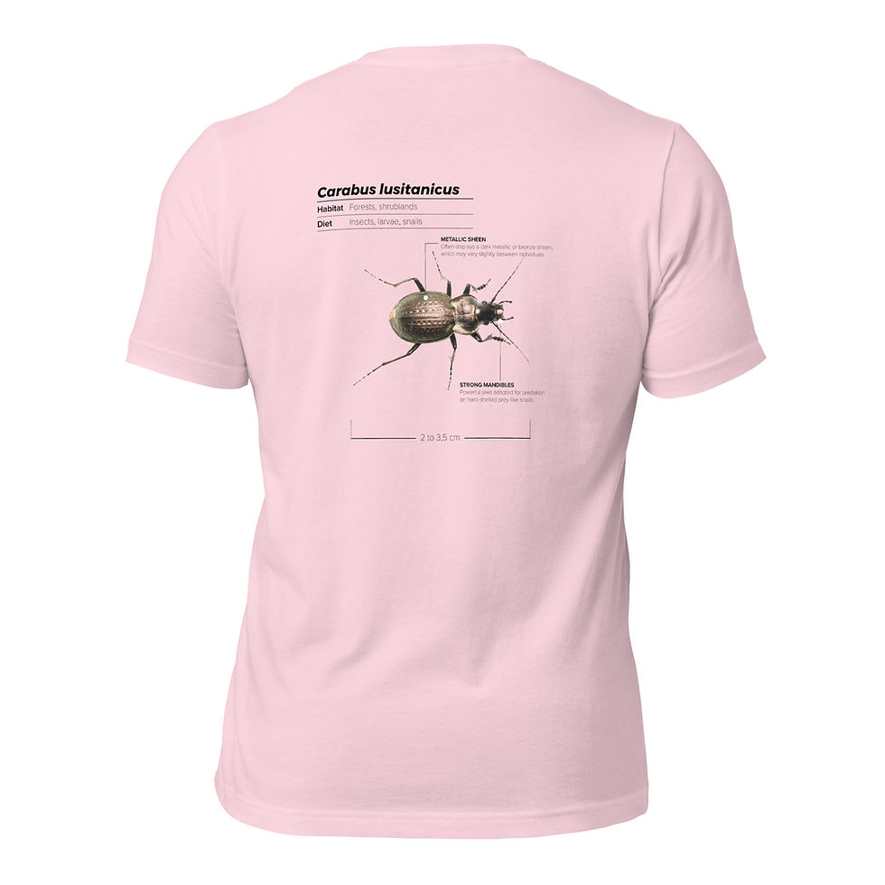 Thumbnail: T-shirt Unissexo Adulto Carabus lusitanicus (inglês)