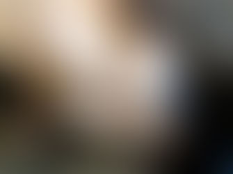 Porque não devemos oferecer as nossas fotografias de vida selvagem? A importância de valorizar e vender fotografias de vida selvagem!