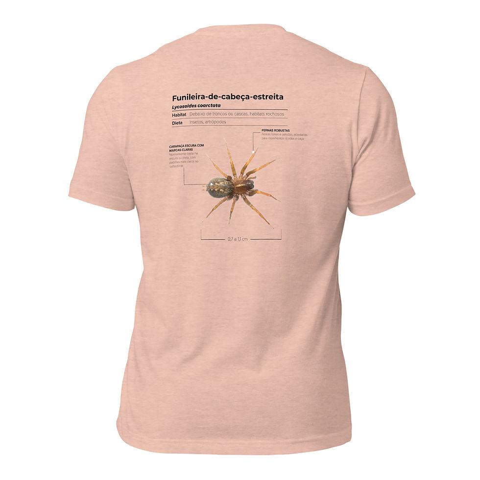 Miniatura: T-shirt Unissexo Adulto Lycosoides coarctata (português)