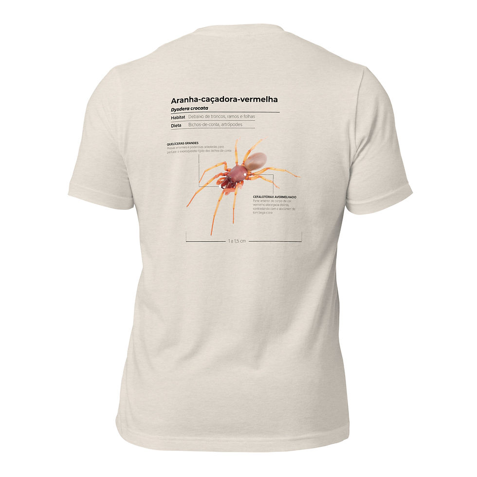 Miniatura: T-shirt Unissexo Adulto Aranha-caçadora-vermelha (português)