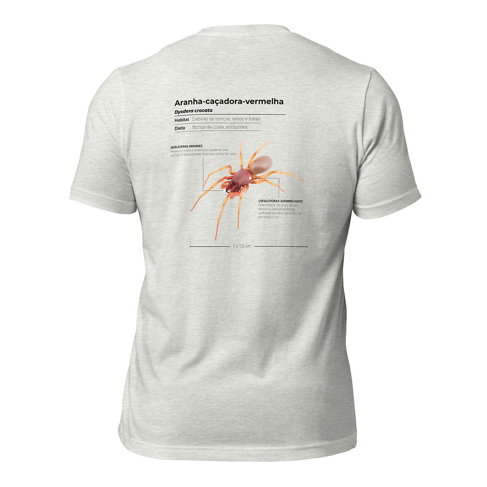 Miniatura: T-shirt Unissexo Adulto Aranha-caçadora-vermelha (português)