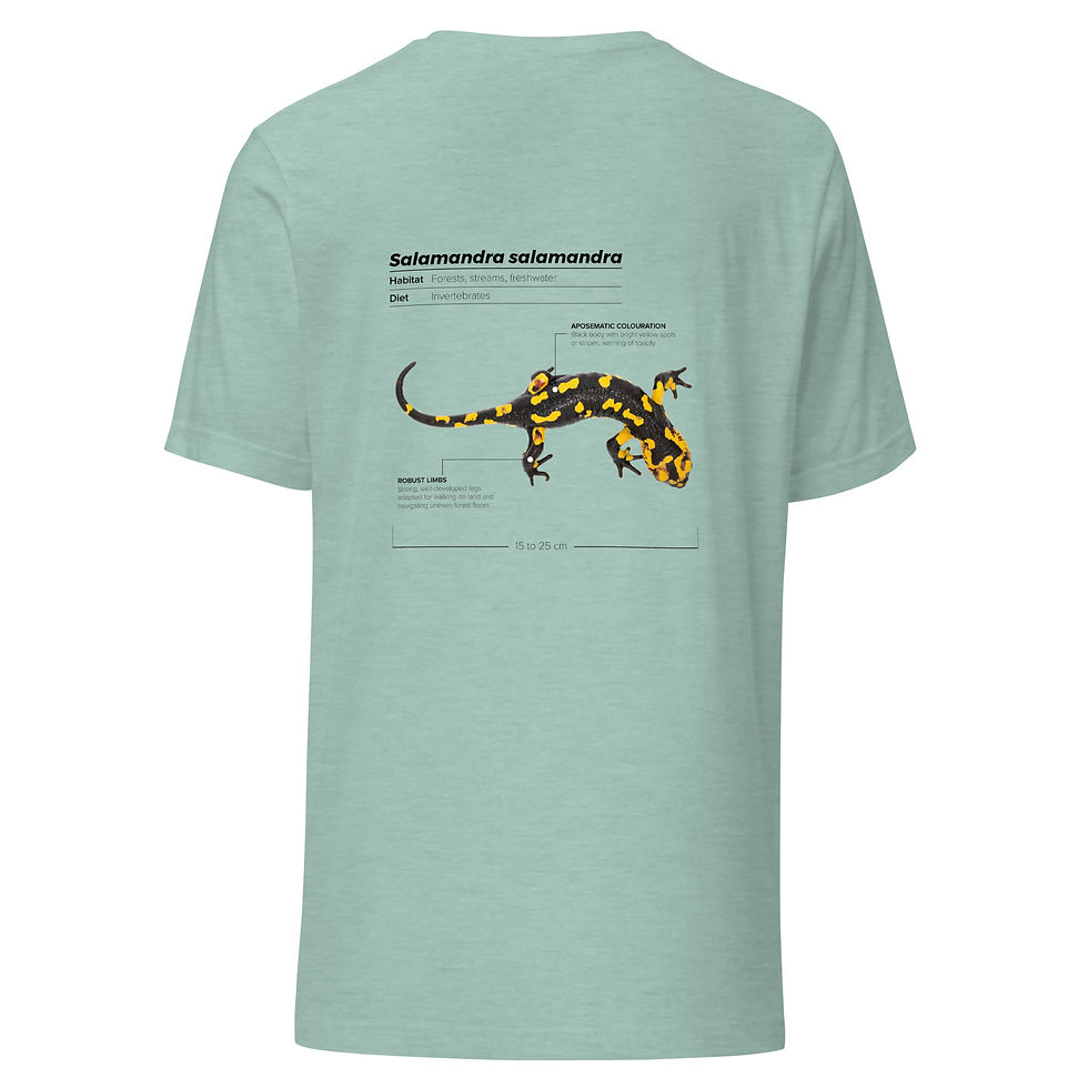 Thumbnail: T-shirt Unissexo Adulto Salamandra-de-pintas-amarelas (inglês)