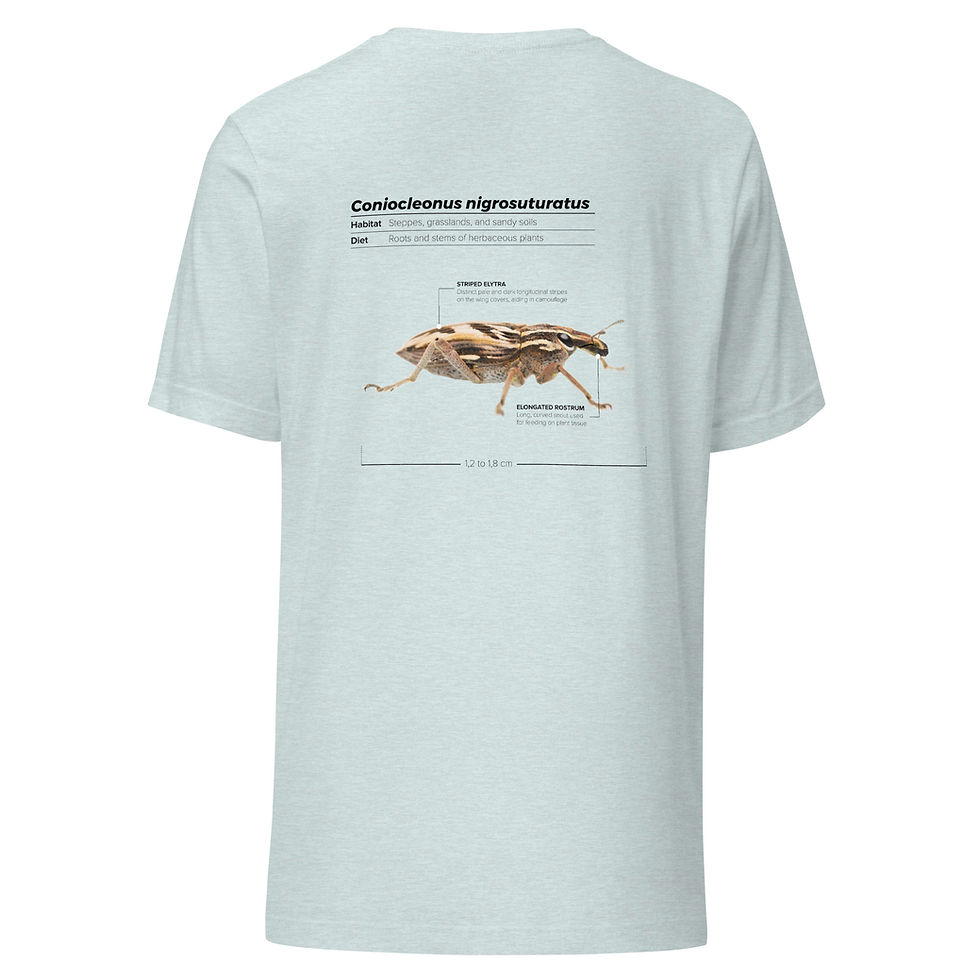 Miniatura: T-shirt Unissexo Adulto Gorgulho (inglês)