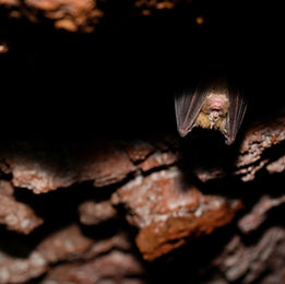 Under the Ground (6).jpg