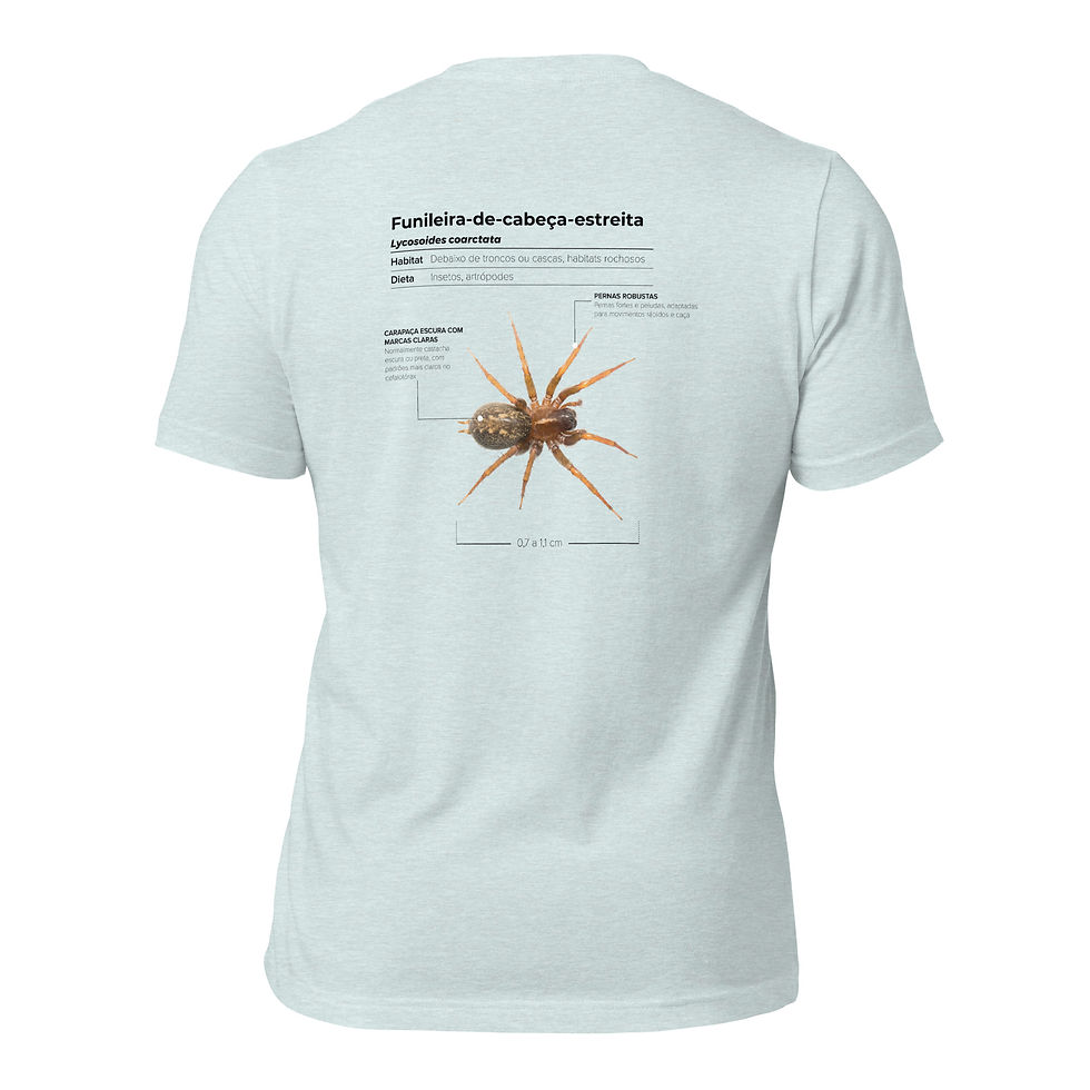 Thumbnail: T-shirt Unissexo Adulto Lycosoides coarctata (português)