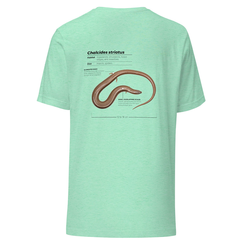 Miniatura: T-shirt Unissexo Adulto Furapastos-tridáctilo (inglês)