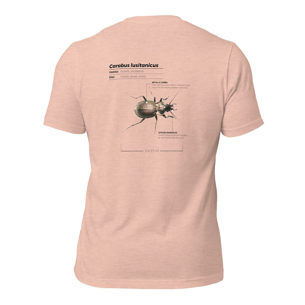 Thumbnail: T-shirt Unissexo Adulto Carabus lusitanicus (inglês)