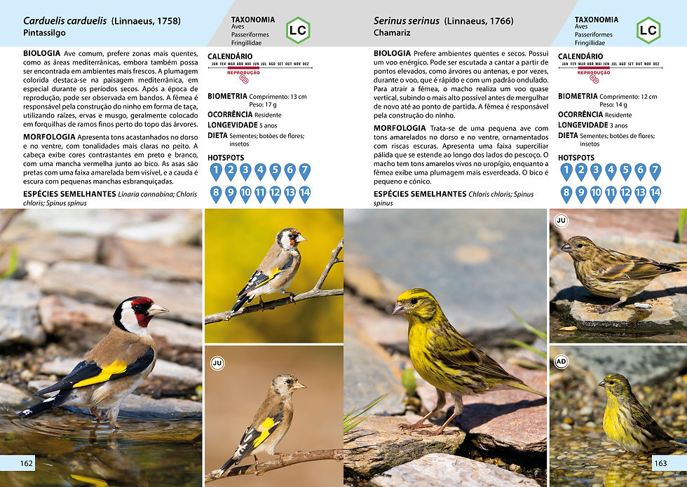 Thumbnail: Guia de Fauna de Lisboa (Edição Portuguesa)