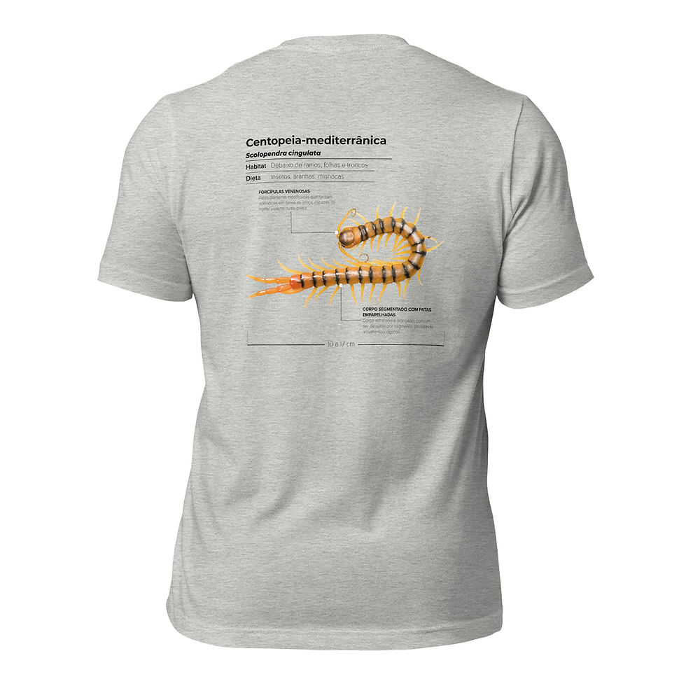 Miniatura: T-shirt Unissexo Adulto Centopeia-mediterrânica (português)
