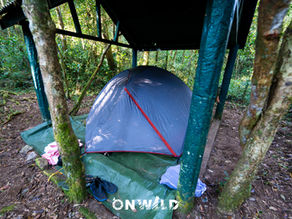 Tenda num acampamento na floresta de Ranomafana, Madagáscar