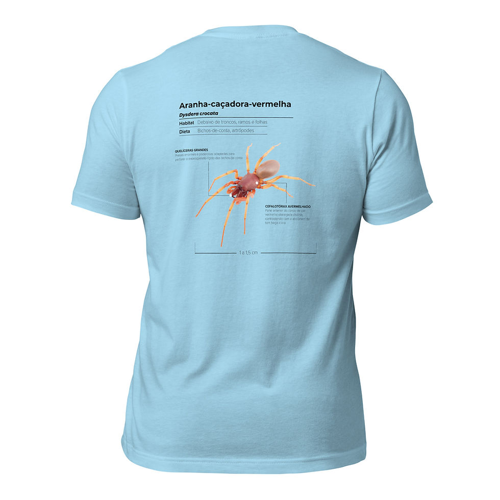 Miniatura: T-shirt Unissexo Adulto Aranha-caçadora-vermelha (português)