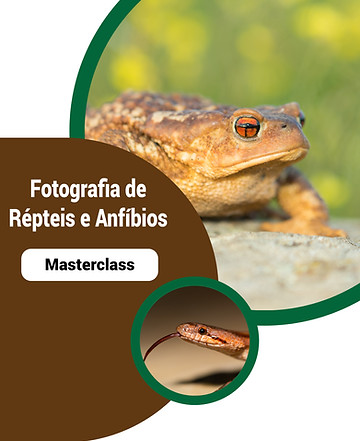 Capas Tutoriais A6.jpg