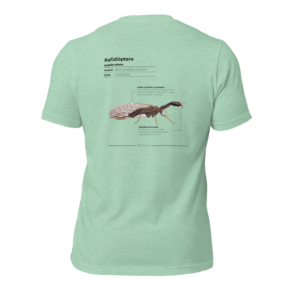 Miniatura: T-shirt Unissexo Adulto Rafidióptero (português)