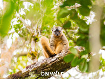 Uma expedição científica com um cheirinho de férias: Um dia completo na floresta e a primeira noite de descanso – 7 de agosto