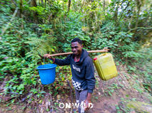 A scientific expedition with a taste of vacation: Another hike and a night of bats – August 6