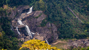 A scientific expedition with a taste of vacation: The first day of rest at ValBio Center – August 9