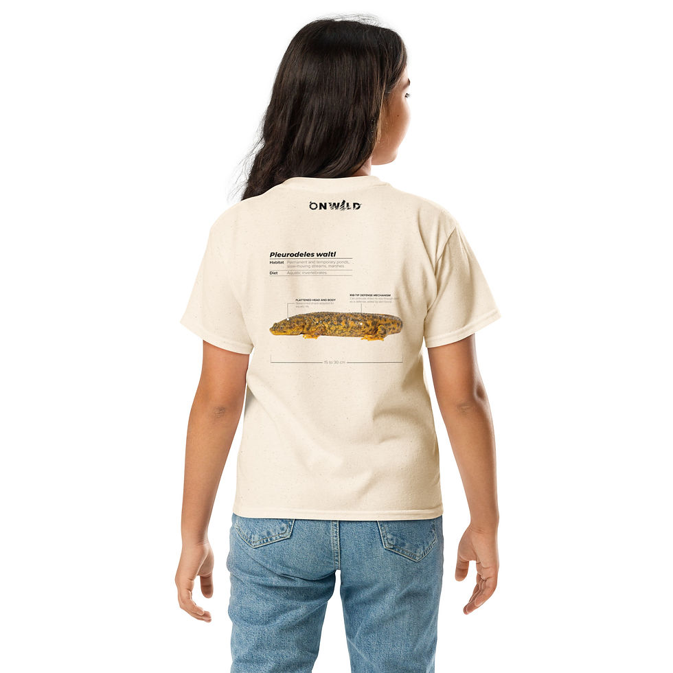 Miniatura: T-shirt Unissexo Criança Salamandra-de-costelas-salientes (inglês)