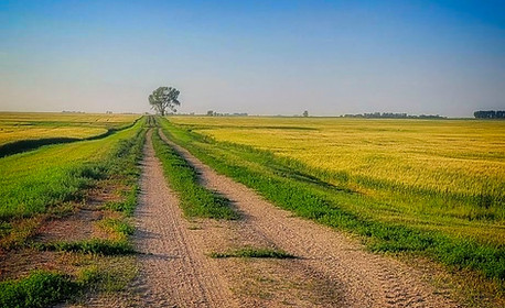 Gravel route from wascana trails to the lonly tree