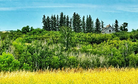 Old farm yard on a gravel route north of Indian Head, Saskatchewan