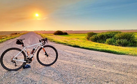 Regina gravel route with horses along the way