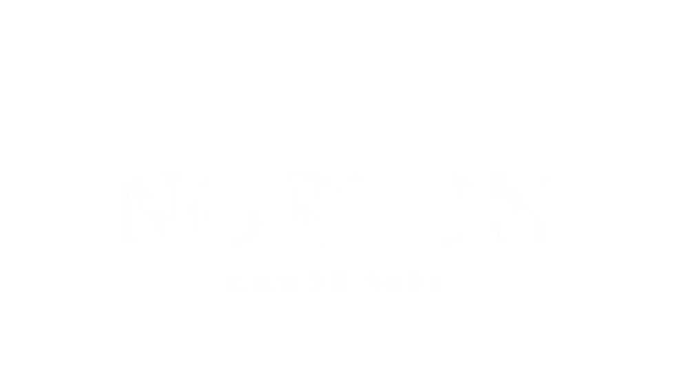 norton logo.png