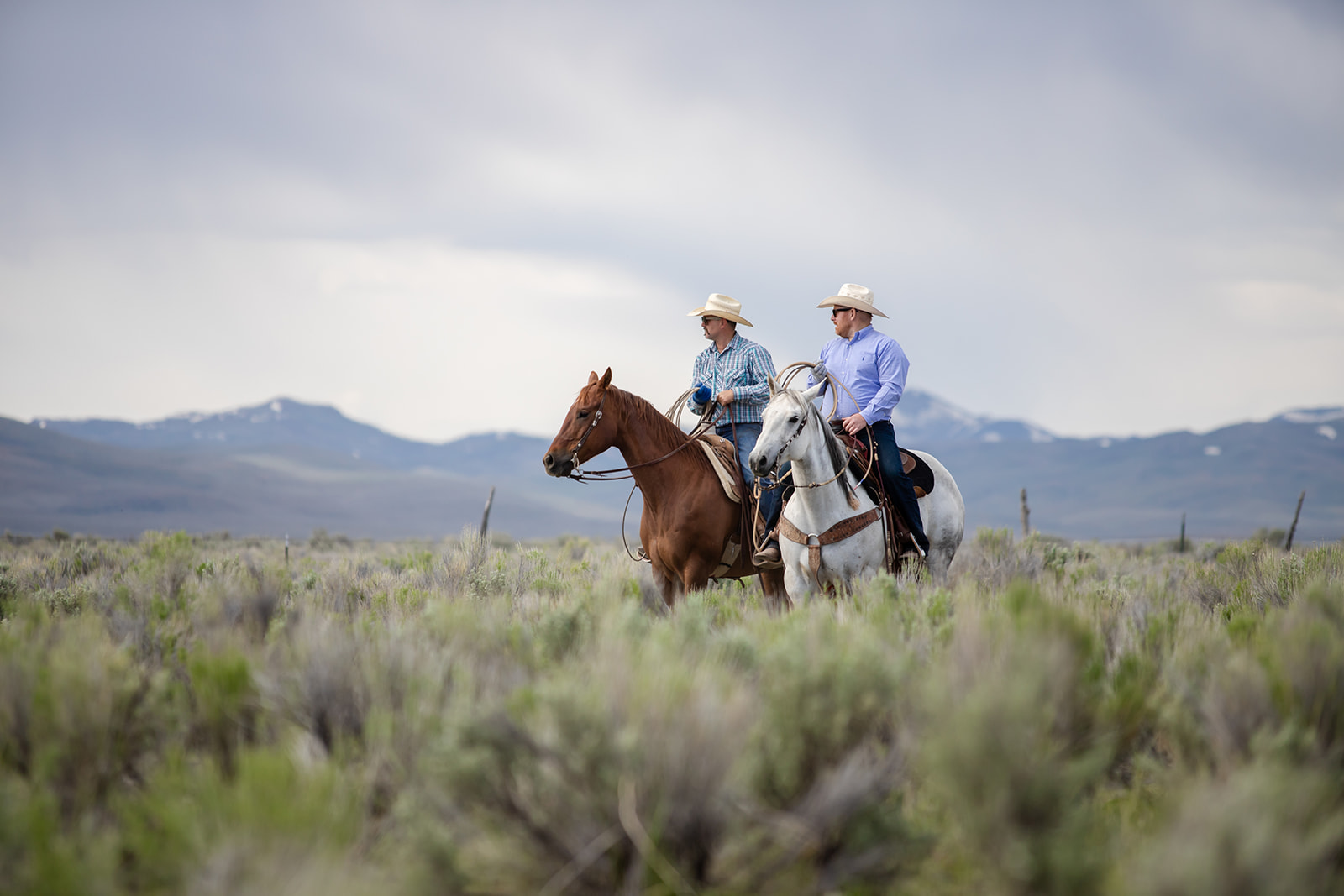 Two riders on horseback crossing open sagebrush country