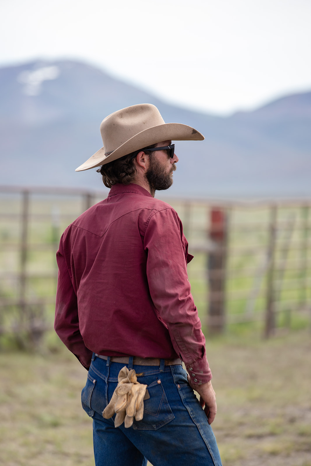 Cowboy in a tan hat and burgundy shirt with gloves tucked into his back pocket