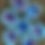 Thumbnail: Diyas for Gifting