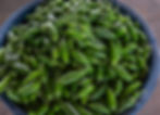 Green Chilli