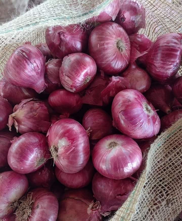 Red Onions