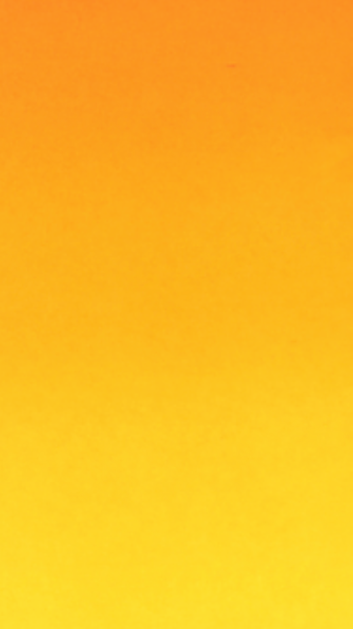 IMG_8534.PNG