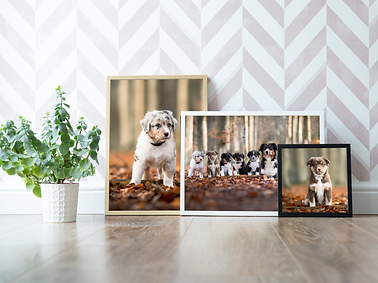WallDecor16 Baileys2.png