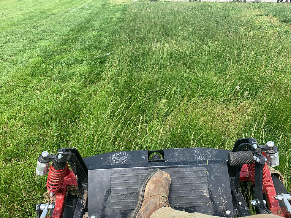 SLC OVERGROWN
