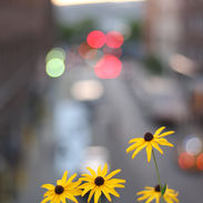August 2016 Highline 4.jpg